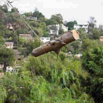 TREE REMOVAL