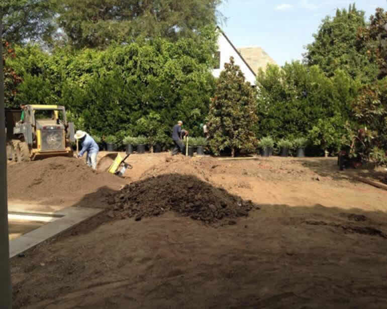 Tree removal services Image-3a Sacramento