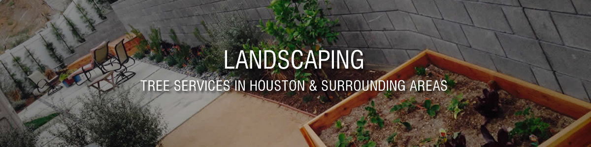 Landscaping Service in Houston
