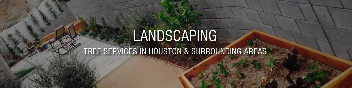 Landscaping Service in Houston
