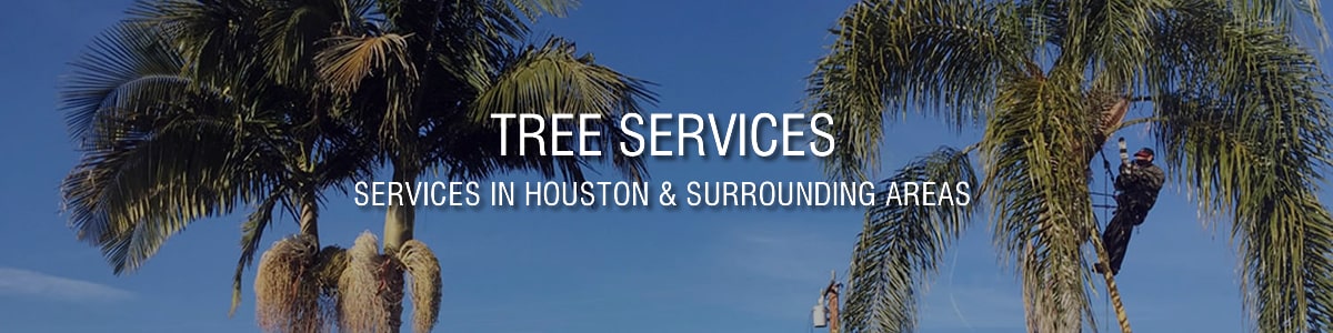 Landscaping Service in Houston
