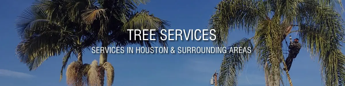 Landscaping Service in Houston
